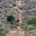 Kruger 696 copia